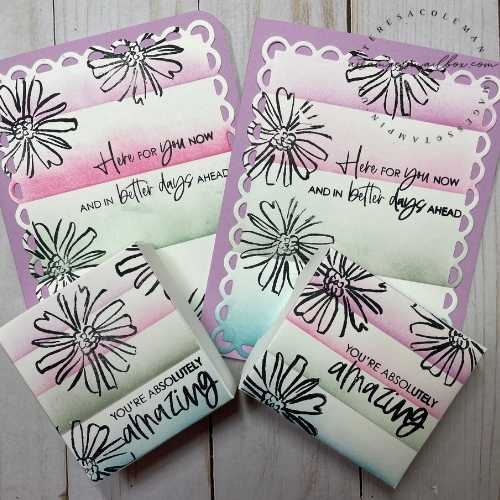 Color & Contour Bundle Case the Catalog