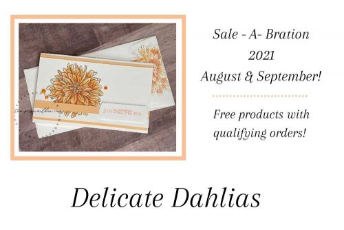 Delicate Dahlias Are Delightful