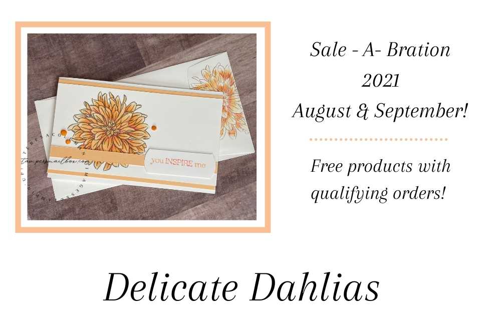 You are currently viewing Delicate Dahlias Are Delightful