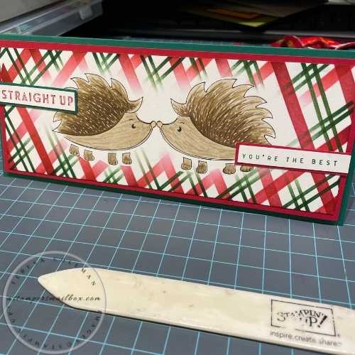 Hedgehog Holiday Kisses FYI*F* Nov. 5, 2021