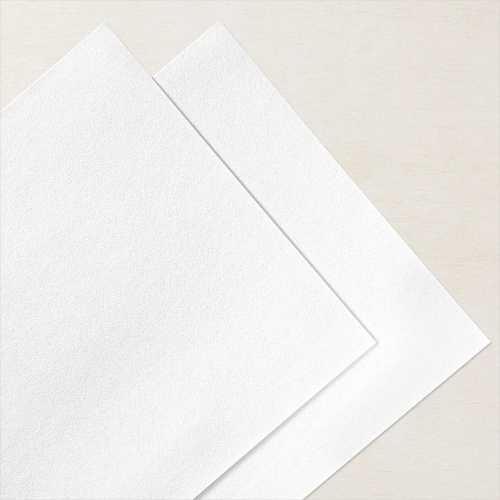 Snowy White Velvet Paper