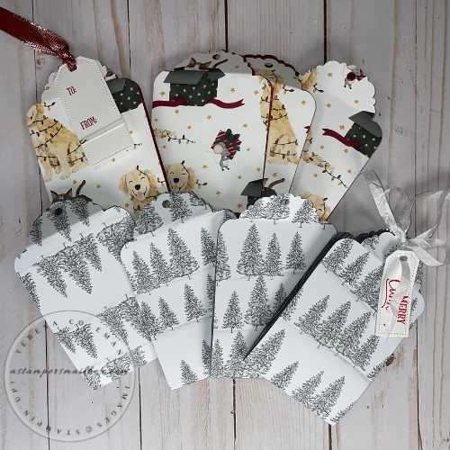Q & S DSP Gift Card Holder