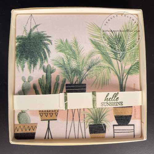 A Stampers Mailbox Thirsty Stone Coaster Box