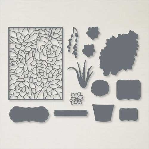 Monday Makeover: CASE the Catalog 
