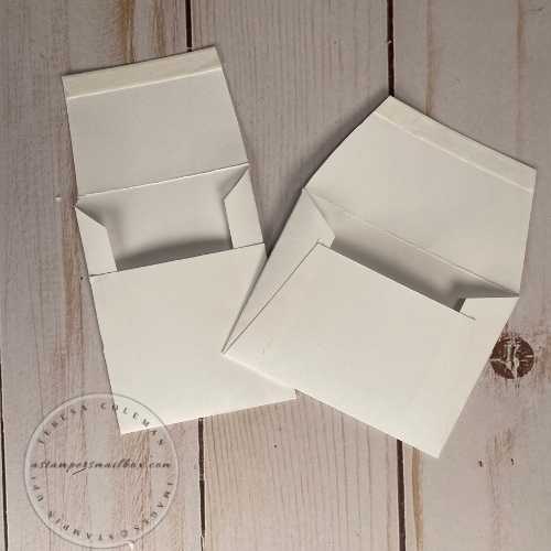 Lunch Box Card Envelopes 