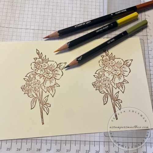 FYI*F* Time to Color!