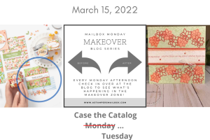 Read more about the article Makeover Tuesday’s CASE’s the Catalog