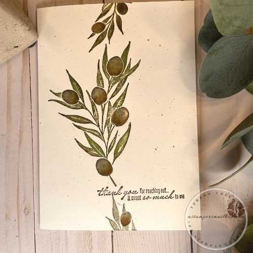 Olive Branch 5 x 7 Thank You Card