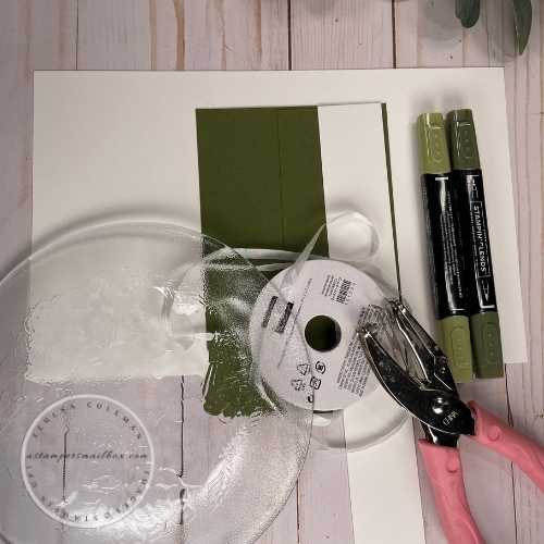 5 x 7 Tri Fold Olive Branch Stamp Set