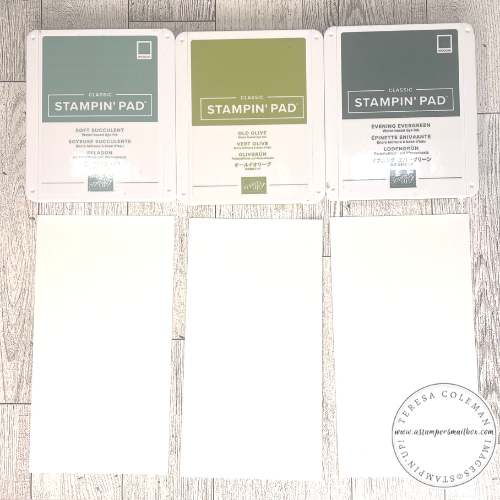 Ink Colors: Soft Succulent, Old Olive, Evening Evergreen