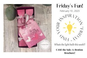 Read more about the article FYIF CASE’s the Candy Box