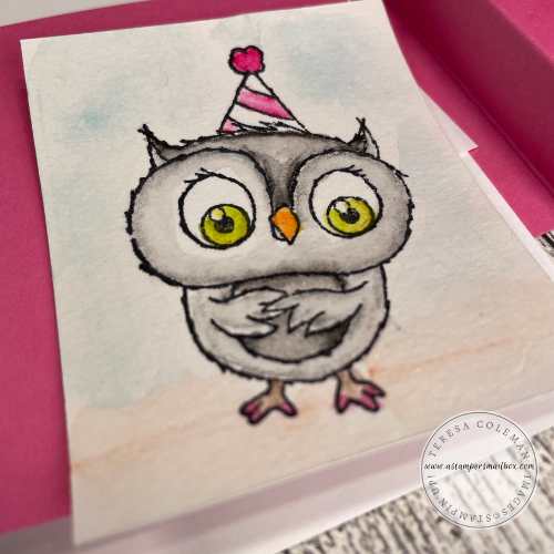 Watercolor pencils on Shimmery White Cardstock