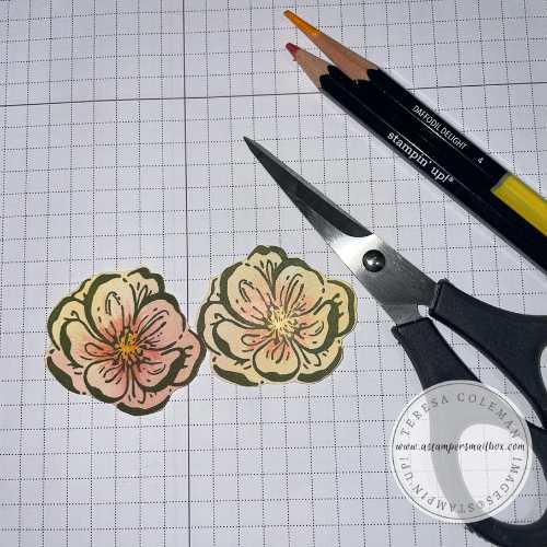 Fussy Cut or Die Cut Flowers